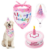 EXPAWLORER bandana de cumpleaños para perro con pastel, ideal para fotos festivas