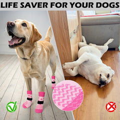 Calcetines EXPAWLORER aptos para todas las estaciones protege patas