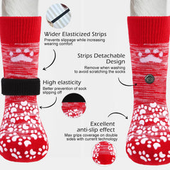 EXPAWLORER protección de patas contra calor y superficies duras para perros.