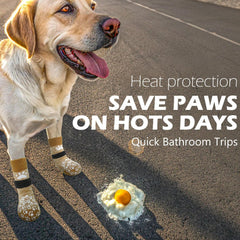 EXPAWLORER zapatillas para perros protegen patas ante pavimento caliente
