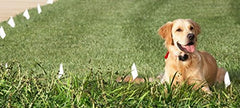 Extreme Dog Fence recubrimiento HMW polietileno protege contra UV y agua.