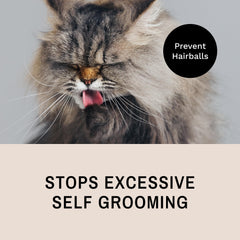Eye Envy ProGlide uso en gatos sensibles, cepillado cómodo y sin estrés.