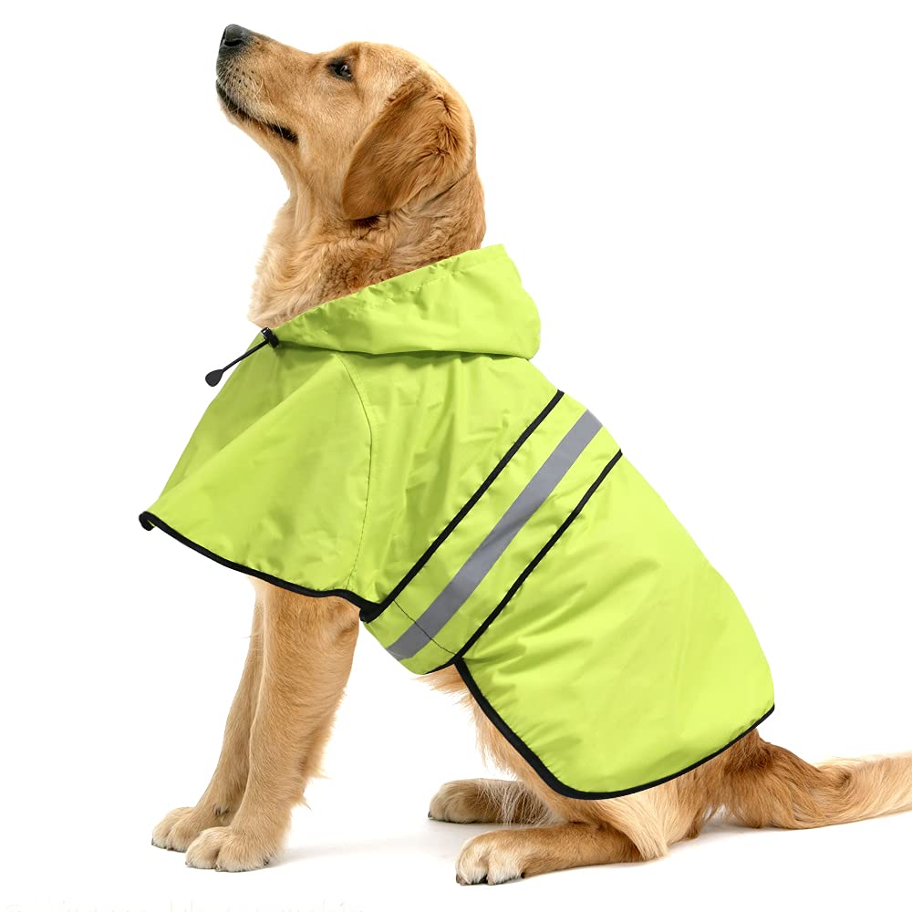 Abrigo impermeable Ezierfy para perro manteniendo seco durante el paseo bajo lluvia.