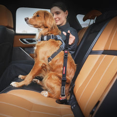 EzyDog Cero Sacudidas Cinturón de nylon resistente para viajes