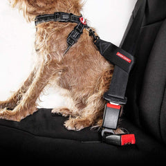 EzyDog: correa de nylon duradera con conexión segura al arnés