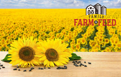 FAMILY FARM AND FEED: semilla-girasol-negro-aves-del-jardin, fomenta consumo regular.
