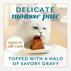 Fancy Feast Gems Pate Mousse porciones dobles para servir fácilmente
