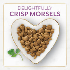 Fancy Feast mordiscos crujientes, porciones para gatos con textura atractiva