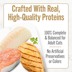 Fancy Feast salmón sellado con espinacas en salsa