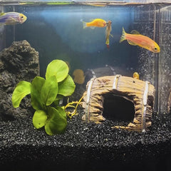 Fantian sustrato para acuario y reptiles, base estable y estética moderna.