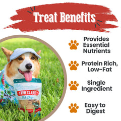 Farm To Pet bocaditos de entrenamiento de res, proteína para perros activos.