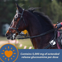 Farnam MaxFlex XR dosis diaria en grano para caballos.