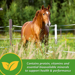 Caballo en entrenamiento con Farnam Vita Plus para apoyo nutricional diario.