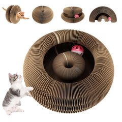 FATIRO: juguete para gatos con rizos que estimula juego y curiosidad.