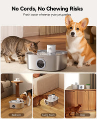 FEELNEEDY bebedero para perros, bandeja amplia para beber cómodo en casa.