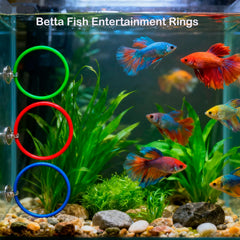 Fejapa pelota interactiva azul para betta, estimula juego