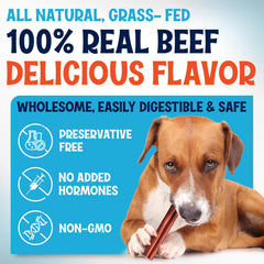 FETCHERONI: perro masticando bully stick, opción para entretenimiento diario.