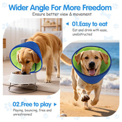 Cono Fickte para perro pequeño con visión libre y comodidad diaria