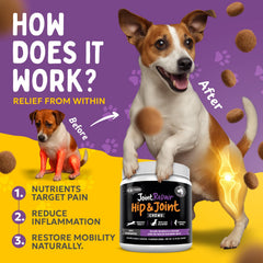 Finest For Pets: cáñamo antiinflamatorio natural para perros.