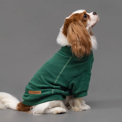 Fitwarm sudadera felpa verde oscuro frente, color cálido para días fríos