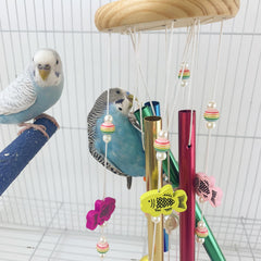 FlidRunest, cuerda de algodón con campanas para entretenimiento seguro de aves