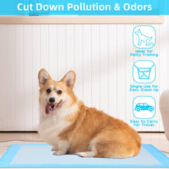 FluffyDream: almohadilla de 5 capas con alta absorción para entrenamiento diario.