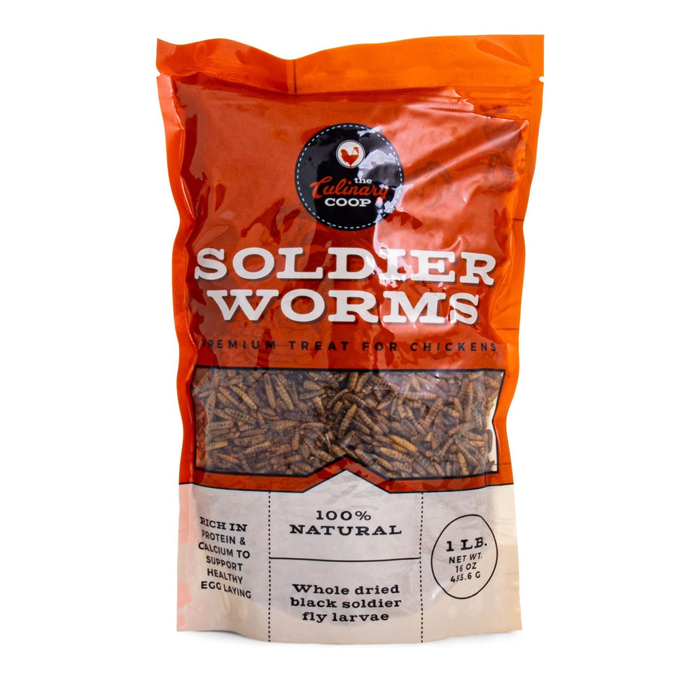 Fluker's Culinary Coop: larvas mosca soldado negra secas para gallinas, ricas en proteína.