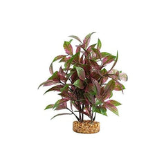 Fluval Aqualife Ludwigia roja de hoja ancha para acuario, decoración duradera.
