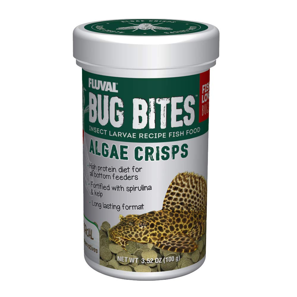 Fluval Bug Bites Algas Crisps en bote para peces del fondo, nutrición concentrada.