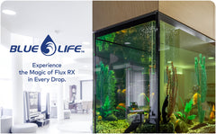Flux RX 7000mg, aplicación fácil, ideal para mantener el agua estable sin complicaciones.