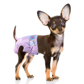 Pañales Flying Paws para perra con ajuste elástico para mayor comodidad.