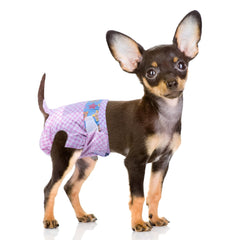 Pañales Flying Paws para perra con ajuste elástico para mayor comodidad.