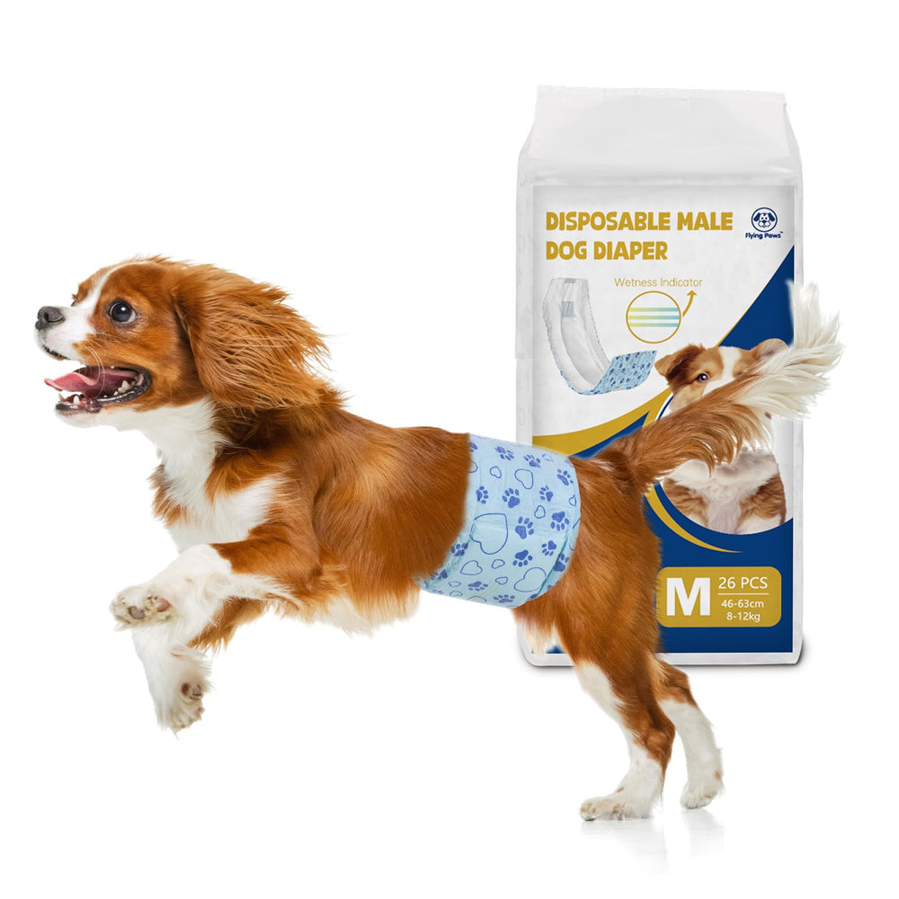 Flying Paws, pañales masculinos con indicador de humedad para mayor control diario.