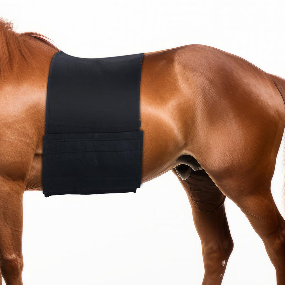 Foilswirl protector-panza-elastico: ajuste cómodo y protección del vientre del caballo.