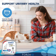 Gato disfrutando Forza10, comida húmeda con salmón