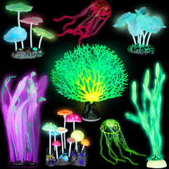 Frienda alga luminosa verde con base cerámica para acuario estable