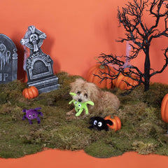 Fringe Studio arana espeluznante negra, perfecto para juego interactivo con chirrido