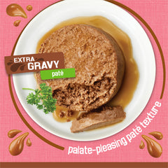 Friskies salmón en caldo cremoso: aporta hidratación y sabor en porciones.