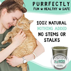 Catnip From The Field, aroma fresco para activar el juego felino