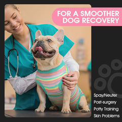 FUAMEY cono alternativo para perro, alternativa al collar.