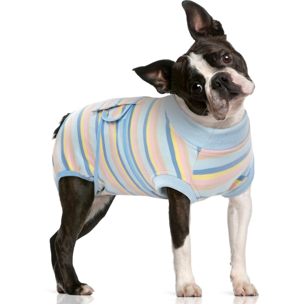 FUAMEY Recovery Suit para perros posoperatorios ofrece ajuste cómodo y protección para heridas.