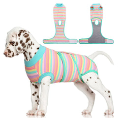 FUAMEY Recovery Suit para perros, postoperatorio, color menta con rayas, comodidad y protección.