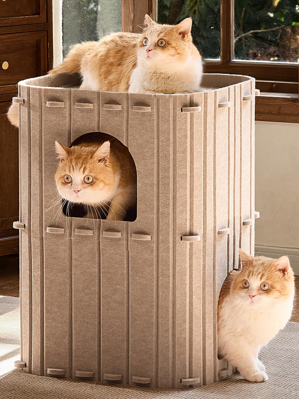 FUKUMARU casa-gato-interior-dos-niveles: refugio cómodo para varios gatos.
