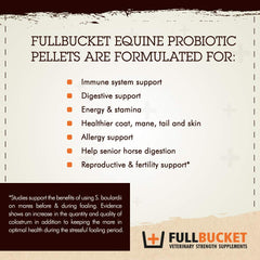 FullBucket probióticas equinas caballo comiendo, apoyo digestivo suave.