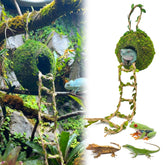Funtinshdy cueva de musgo colgante ofrece refugio cómodo para geckos arbóreos.