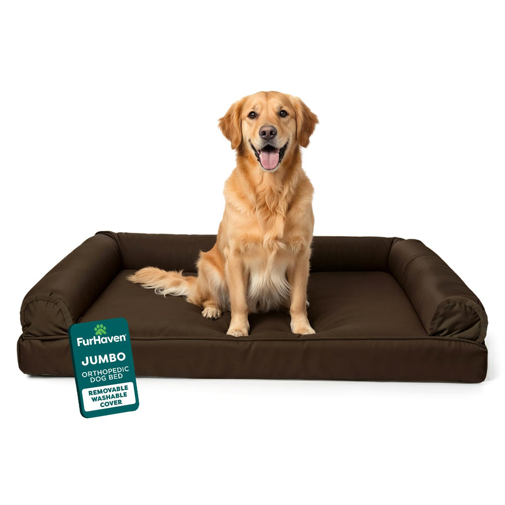 Cama ortopédica Furhaven para perros grandes con base de espuma que apoya articulaciones.