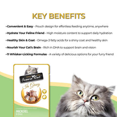 Fussie Cat Premium Caballa en Salsa, escena de comida diaria y práctica.