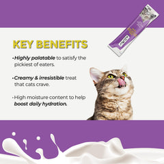 Fussie Cat: sin-granos, opción apta para dietas sensibles