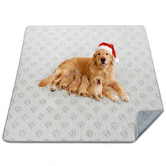 FXW tapete lavable para perros con absorción alta para áreas de juego seguras