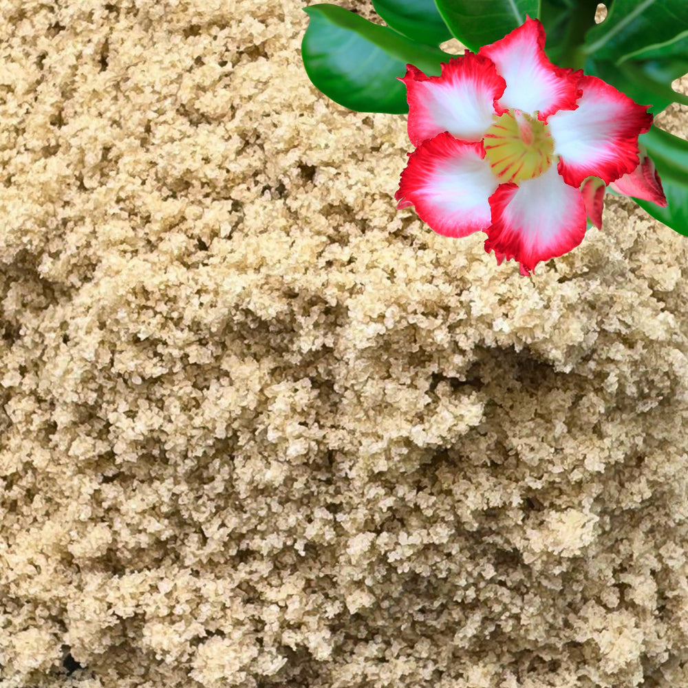 GARDENWISE Arena Fina para Plantas, uso en macetas, mejora drenaje y aireación.